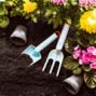 jardin