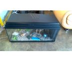 AQUARIUM