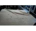 TAPIS MODERNE 362X356