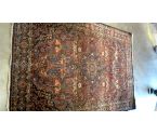TAPIS