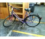 DAMENFAHRRAD LILA <GÜDEREIT> 28"