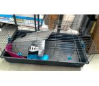 CAGE A LAPIN