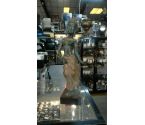 STATUE BRONZE EXTREME ORIENT