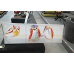 TABLEAU HIBOU COULEURS