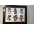 CADRE, , DECORATION